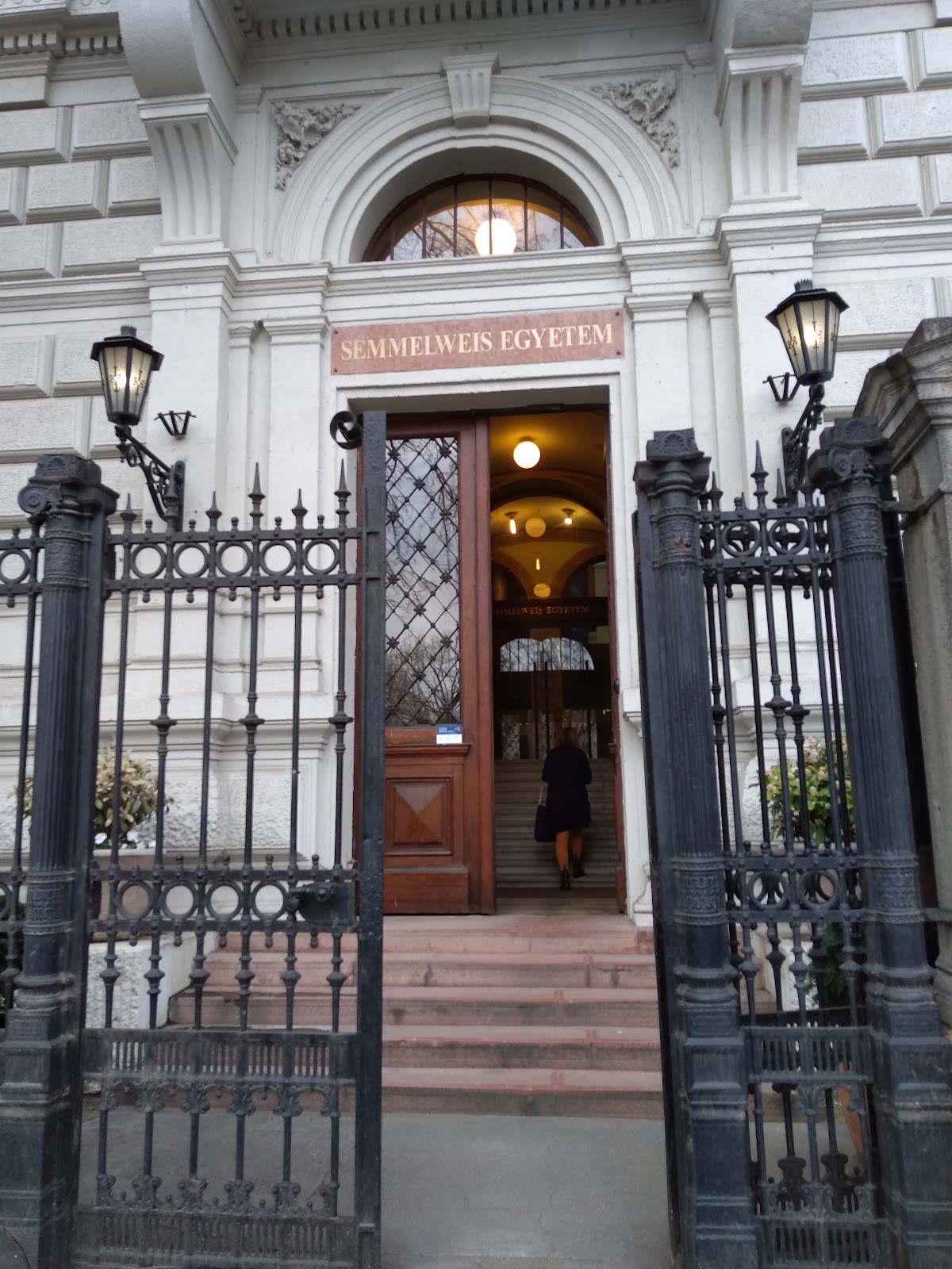 Semmelweis University photo 7