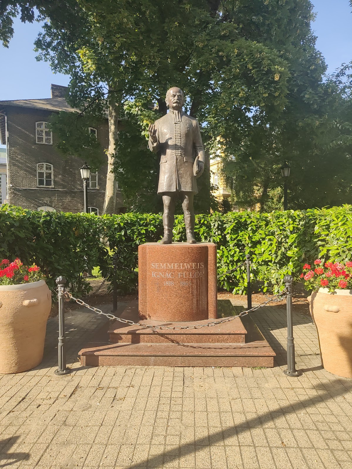 Semmelweis University photo 8