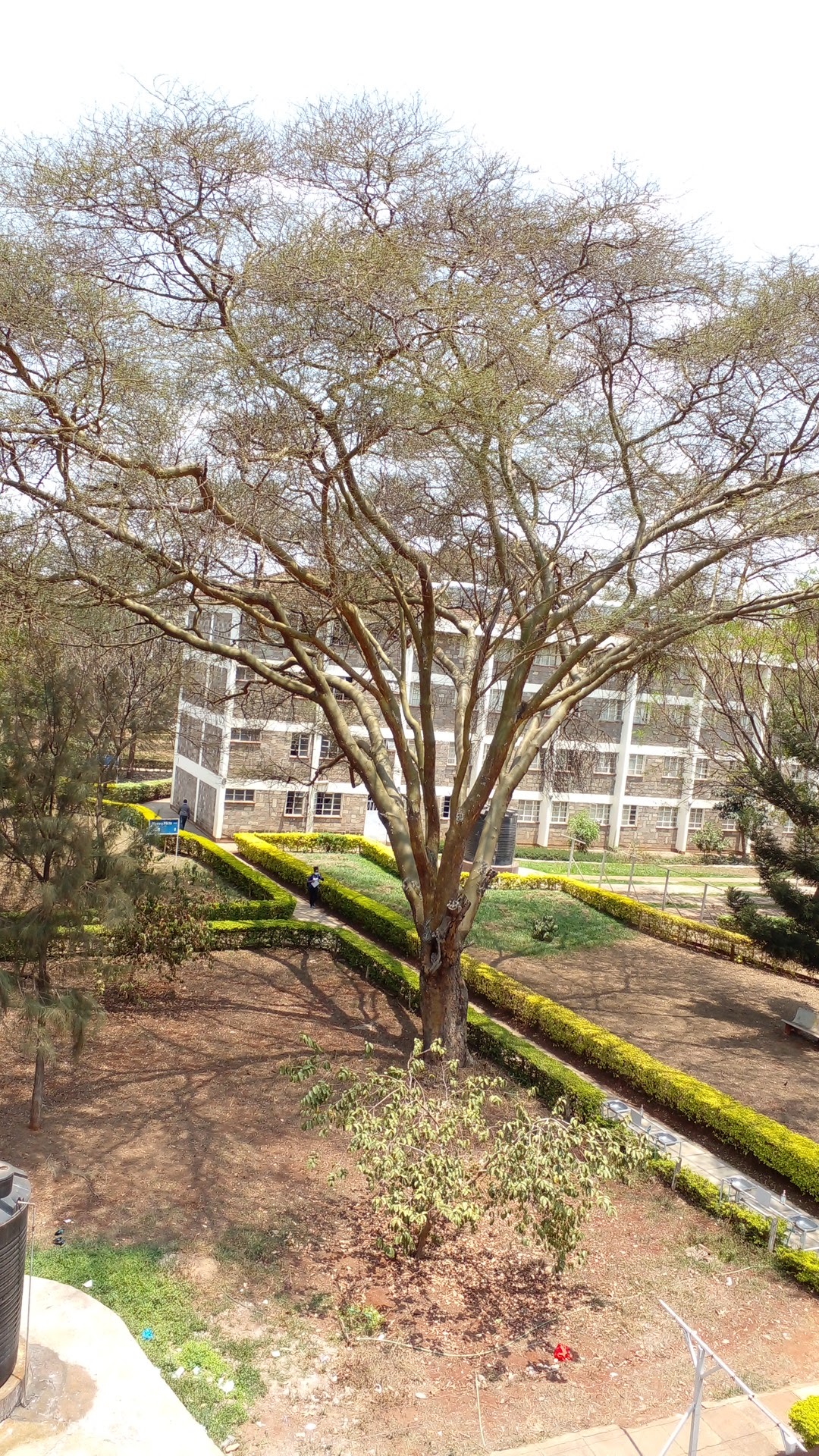 Kenyatta University photo 9