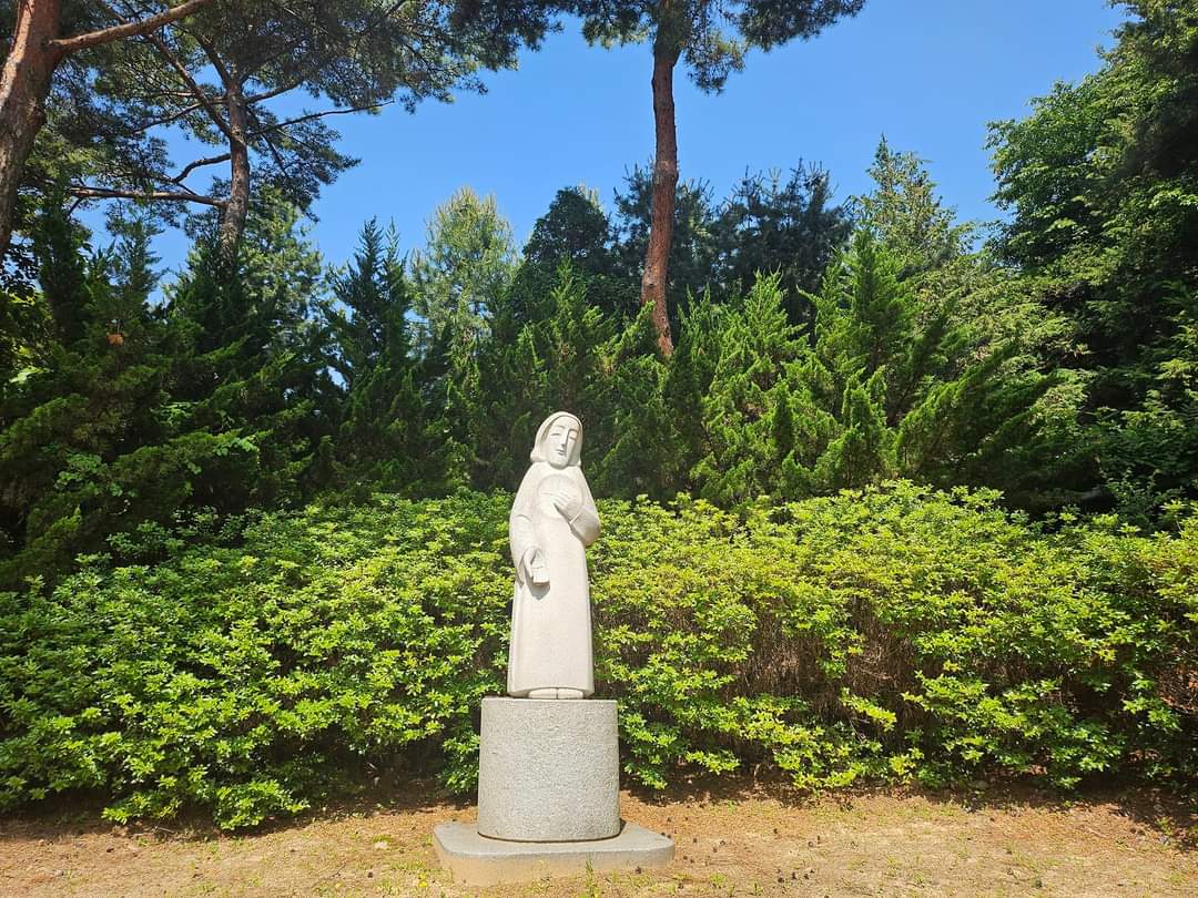 Catholic University of Korea photo 4