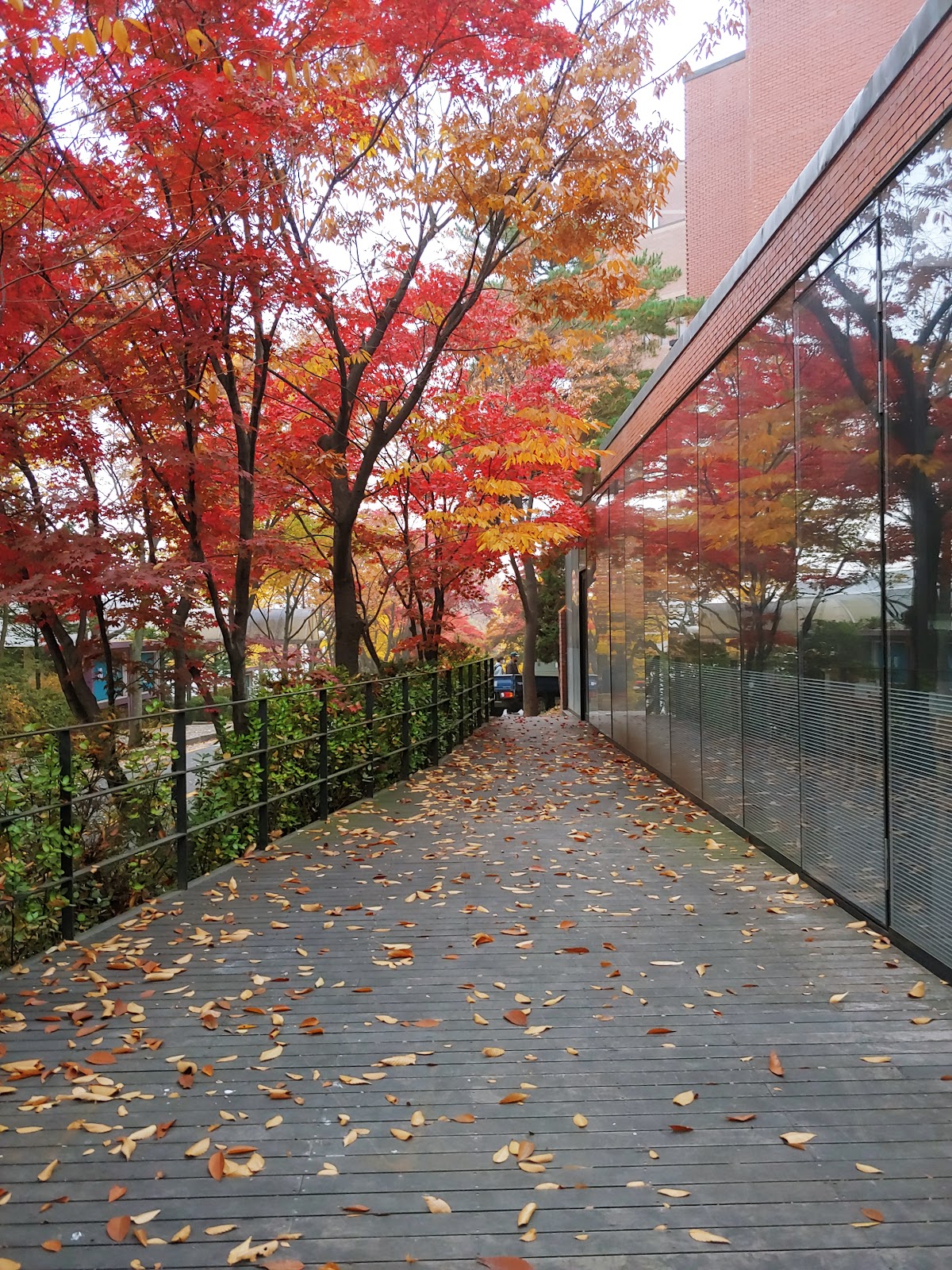 Catholic University of Korea photo 8