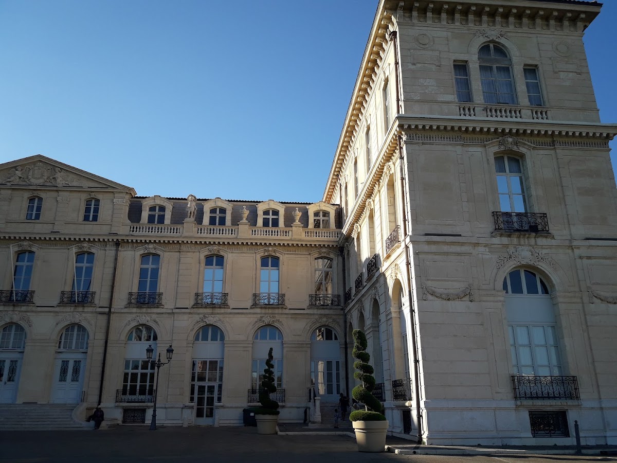 University of Aix-Marseille photo 4