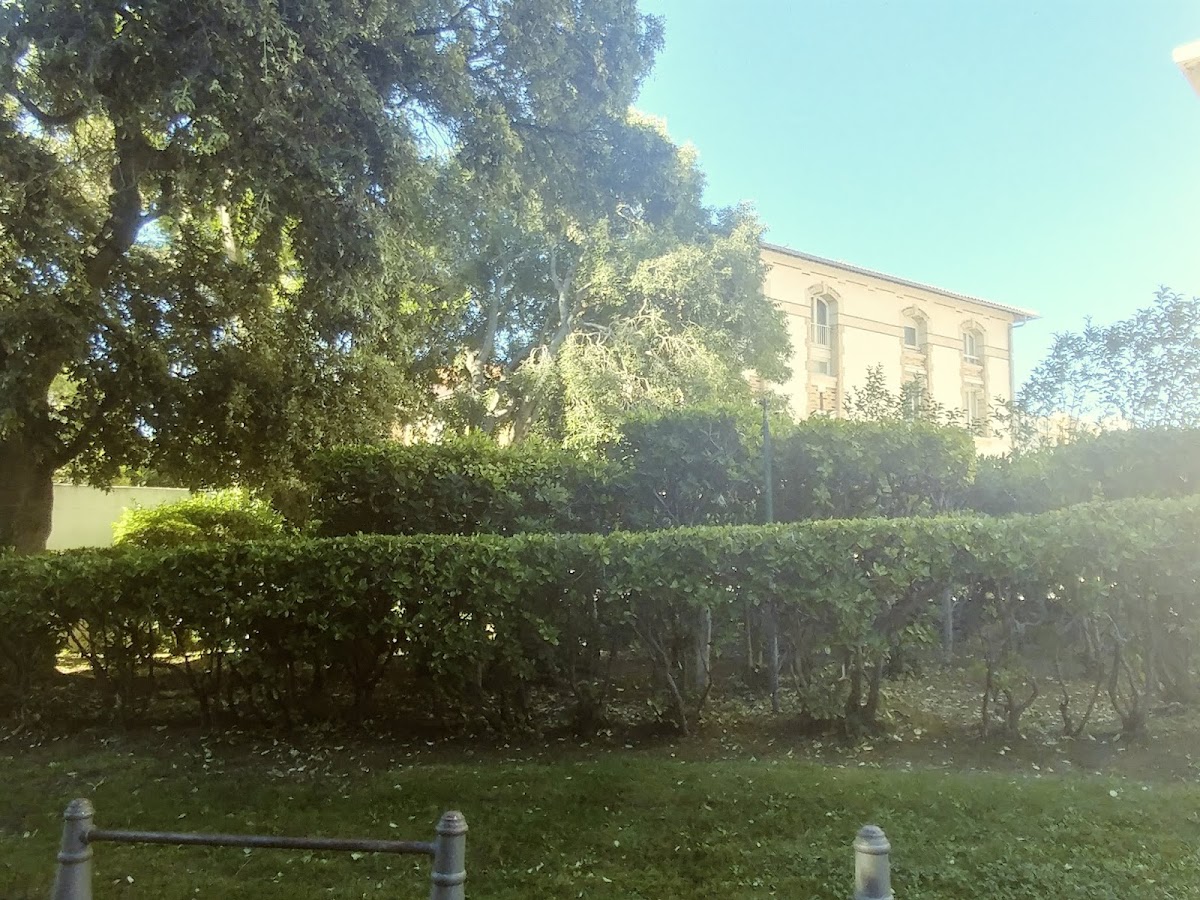 University of Aix-Marseille photo 6