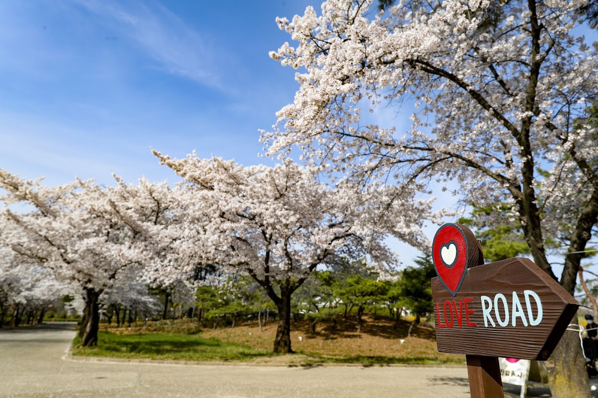 Yeungnam University photo 2