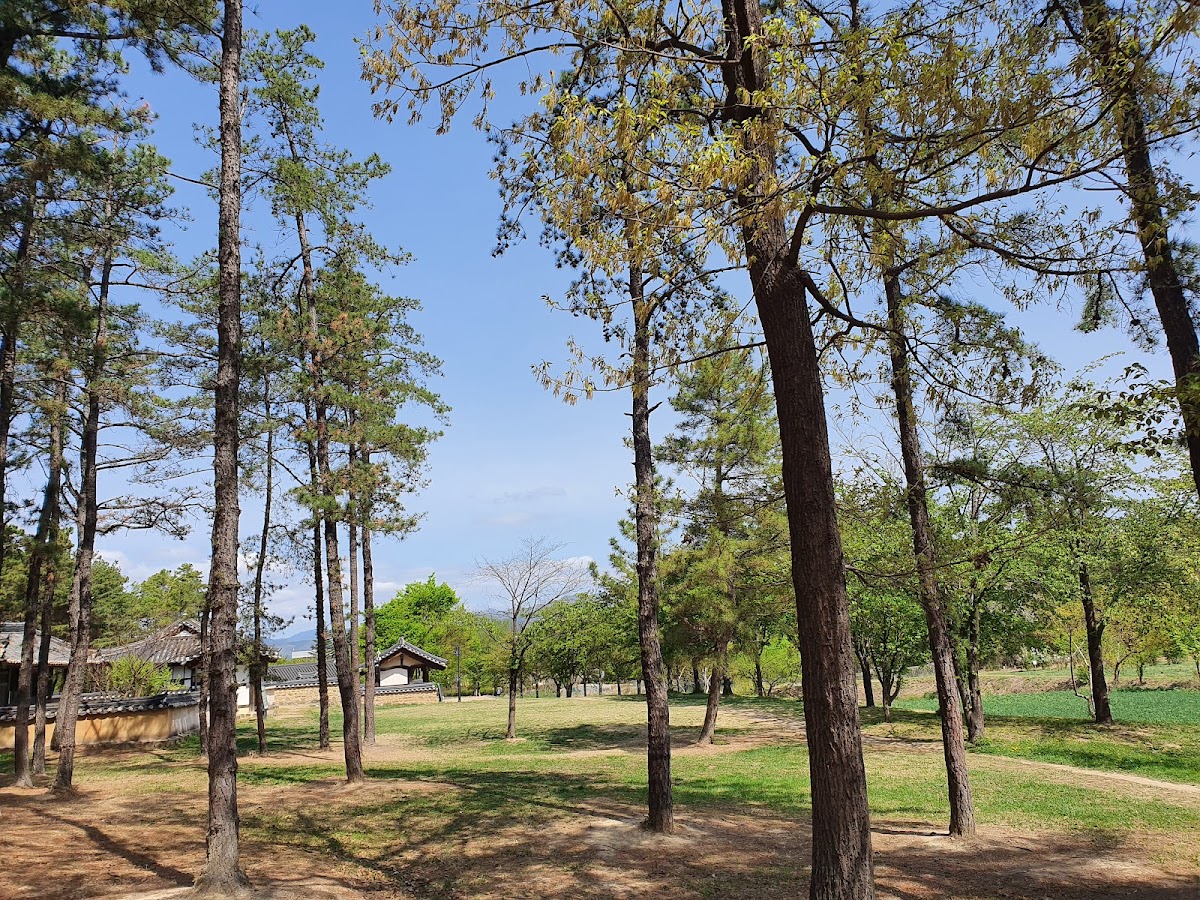 Yeungnam University photo 8