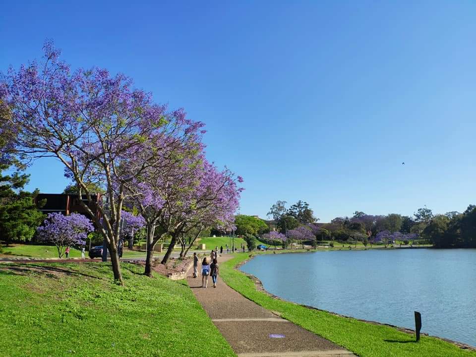The University of Queensland photo 2