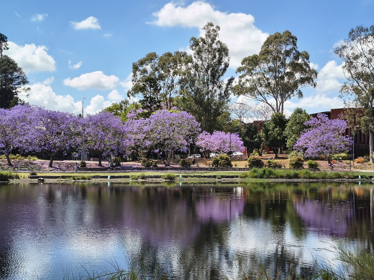 The University of Queensland photo 5
