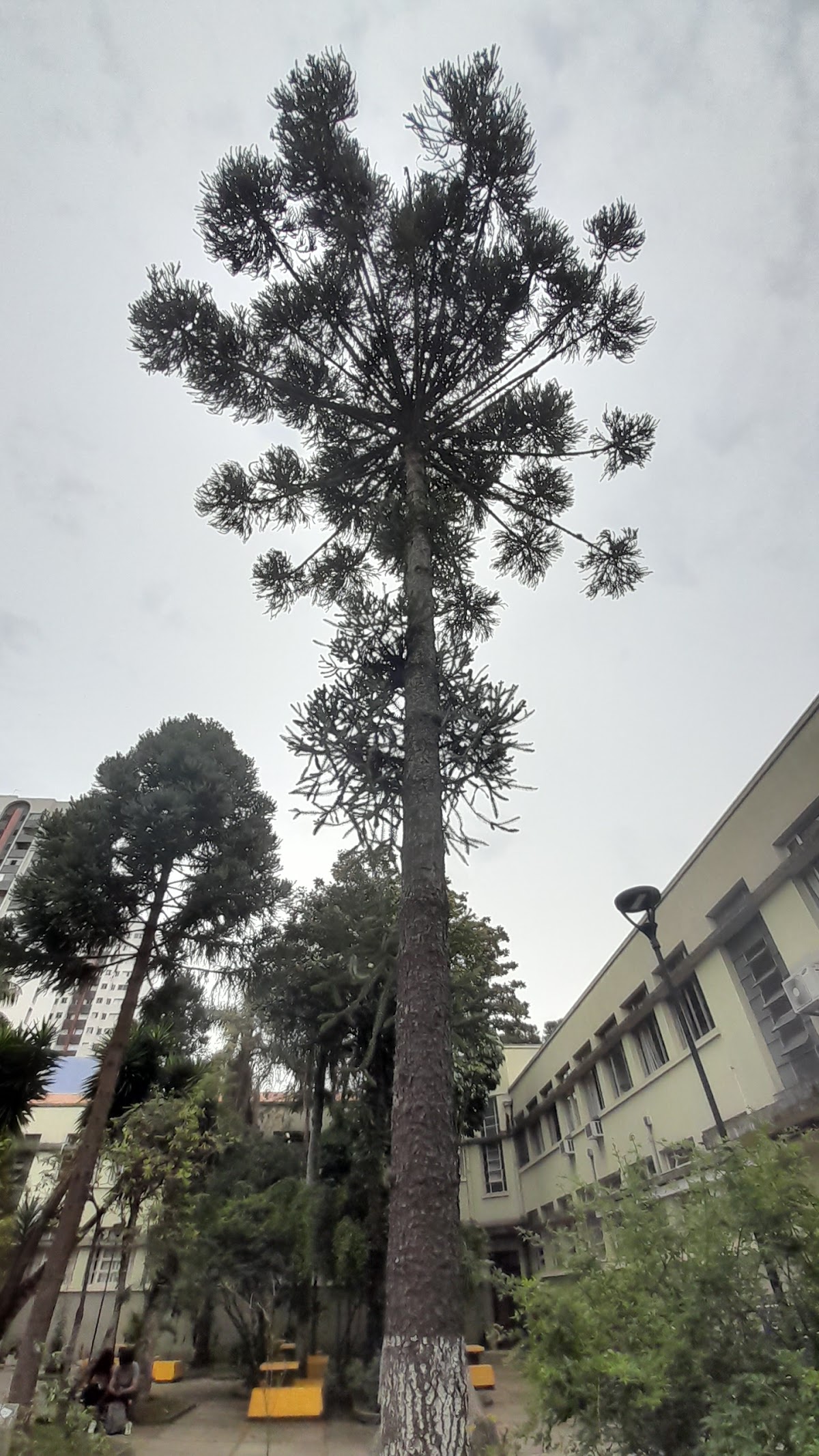 Federal Technological University of Paraná photo 8