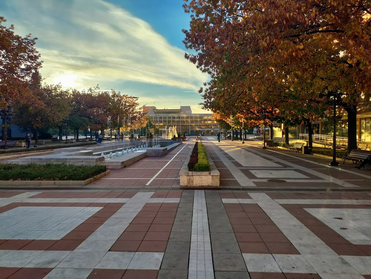 American University in Bulgaria photo 9