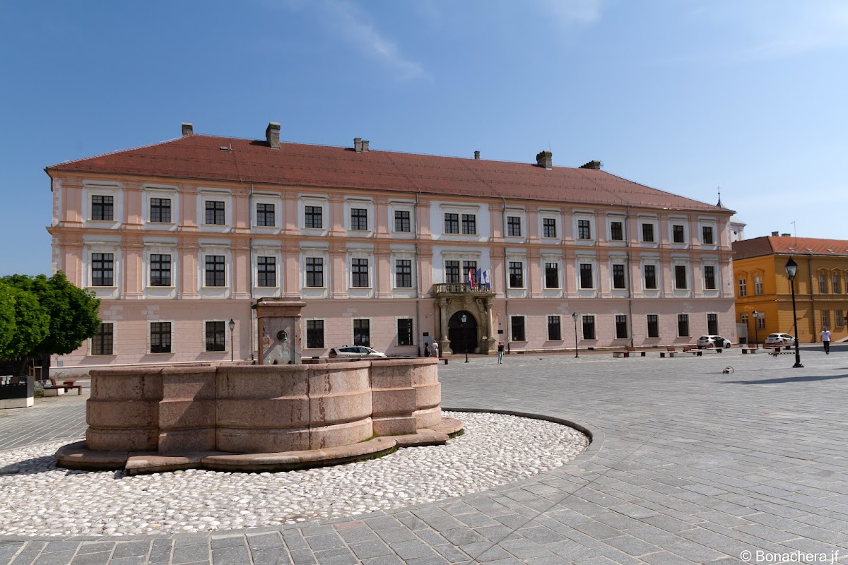 University of Osijek photo 2