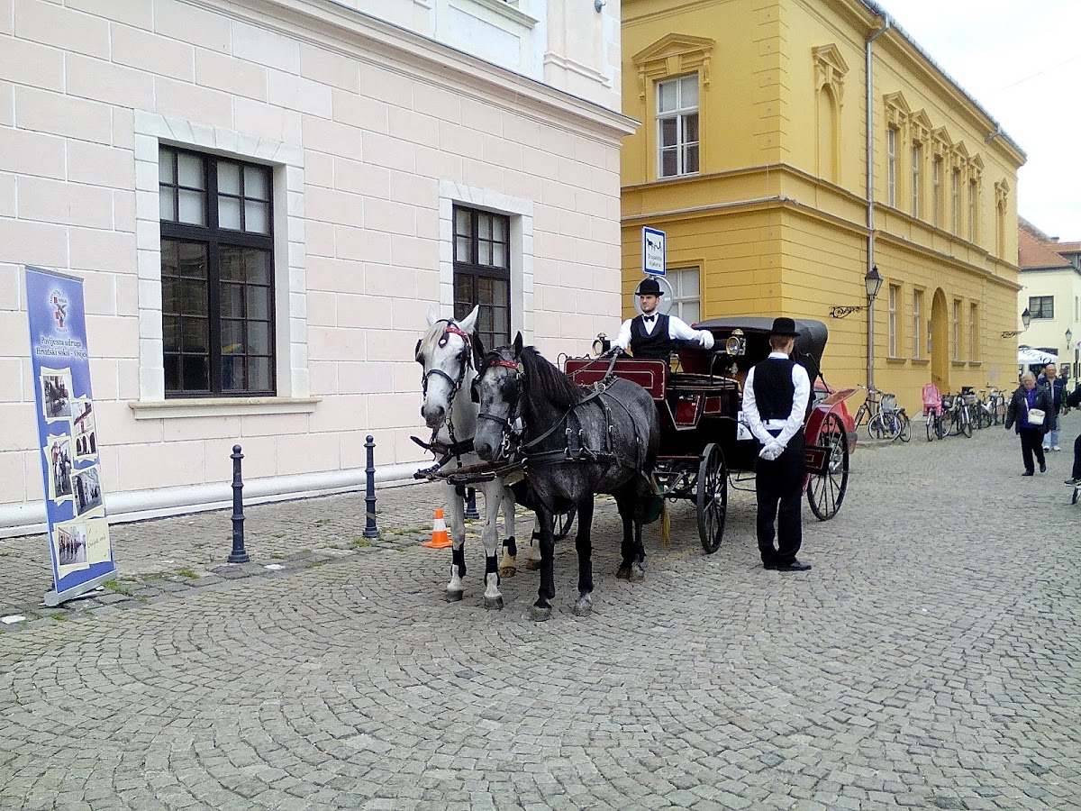 University of Osijek photo 6