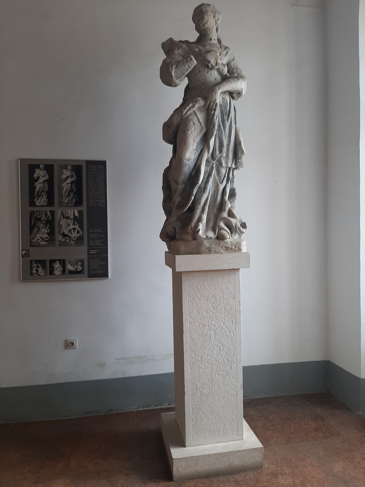 University of Osijek photo 7