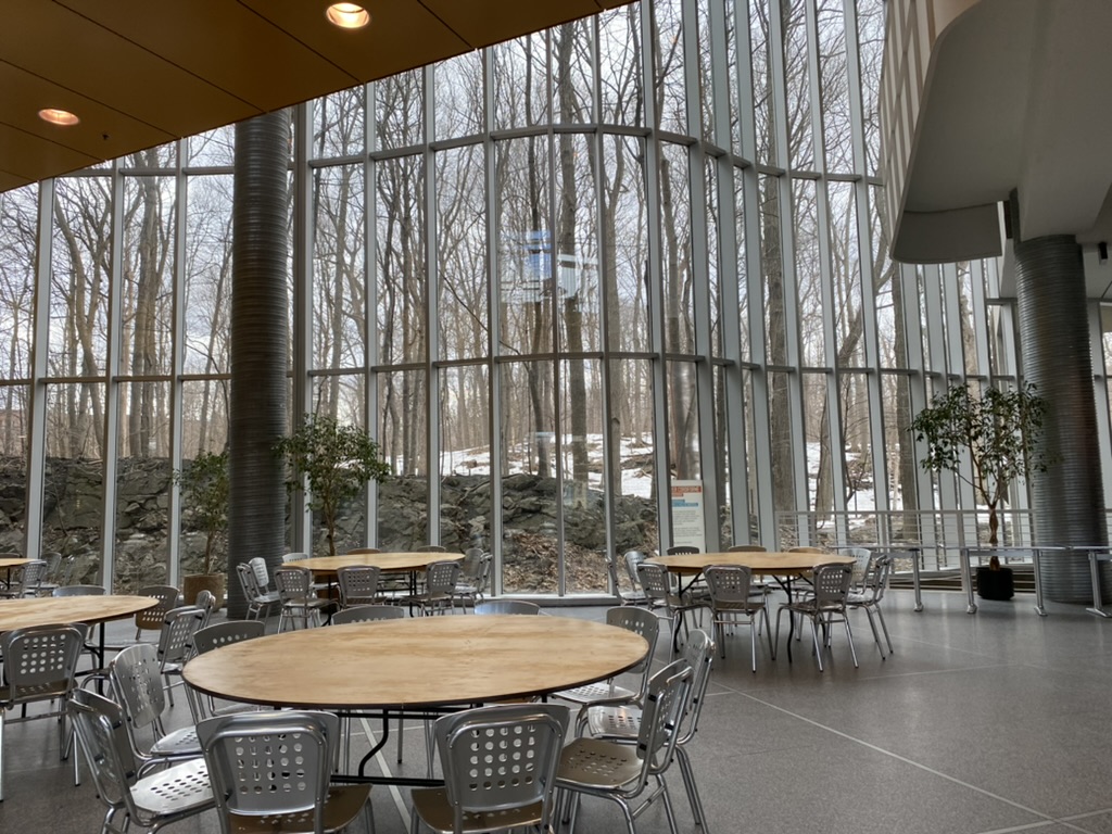 HEC Montréal photo 7