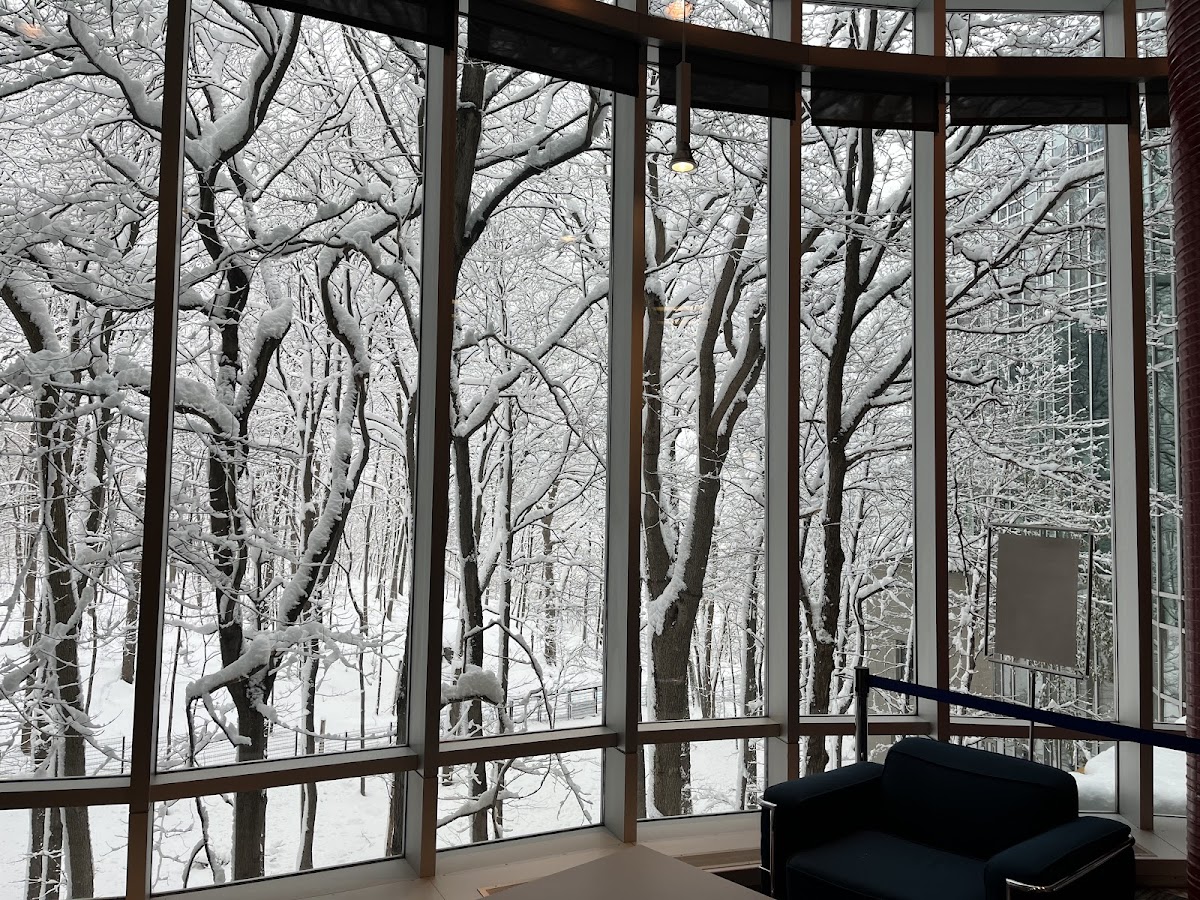 HEC Montréal photo 8