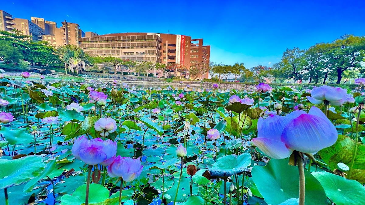 Shu-Te University photo 1