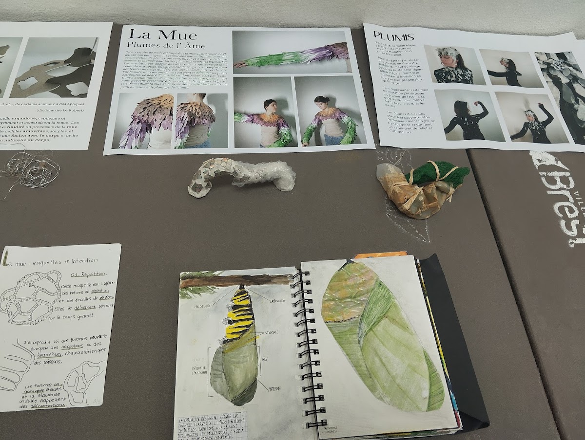 Université de Bretagne Occidentale photo 1