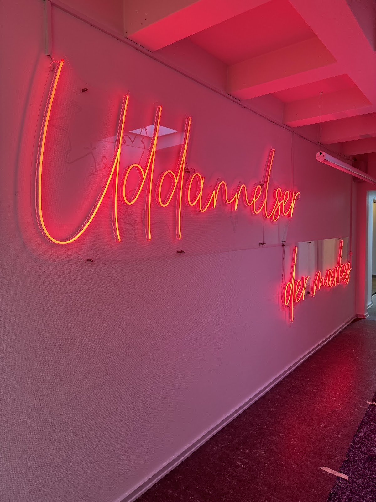 University College Absalon photo 3