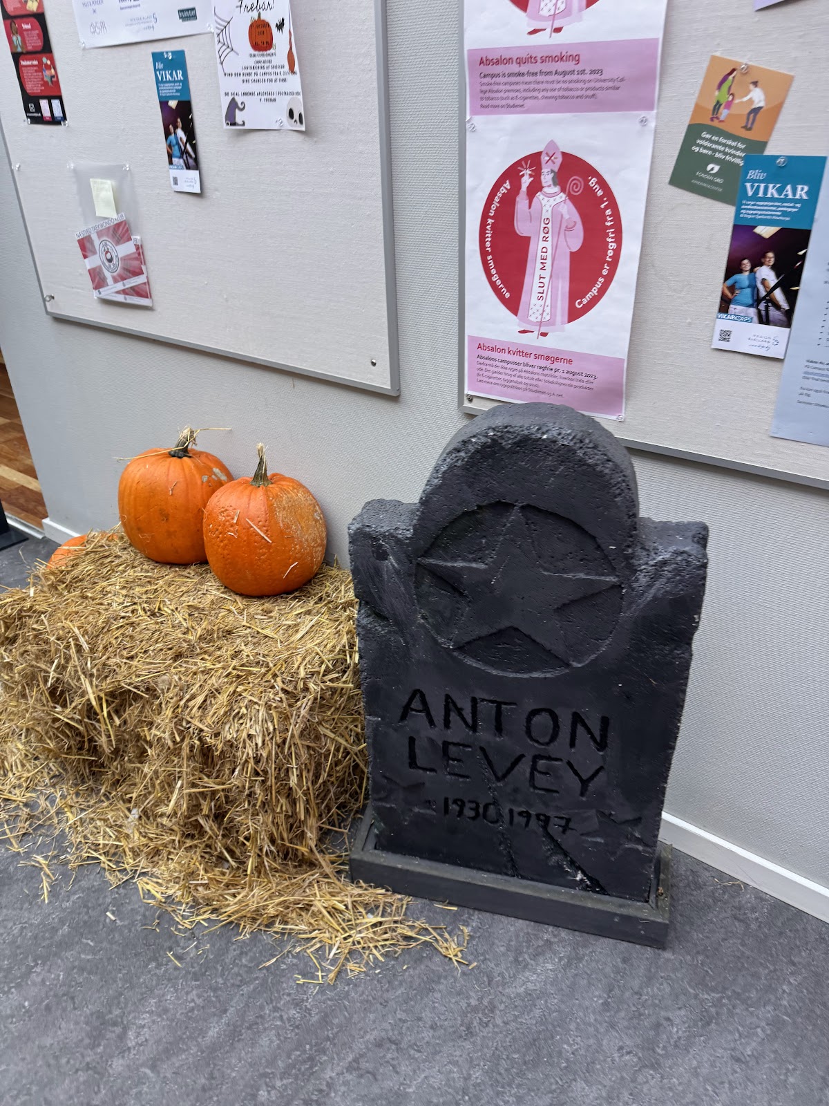 University College Absalon photo 4