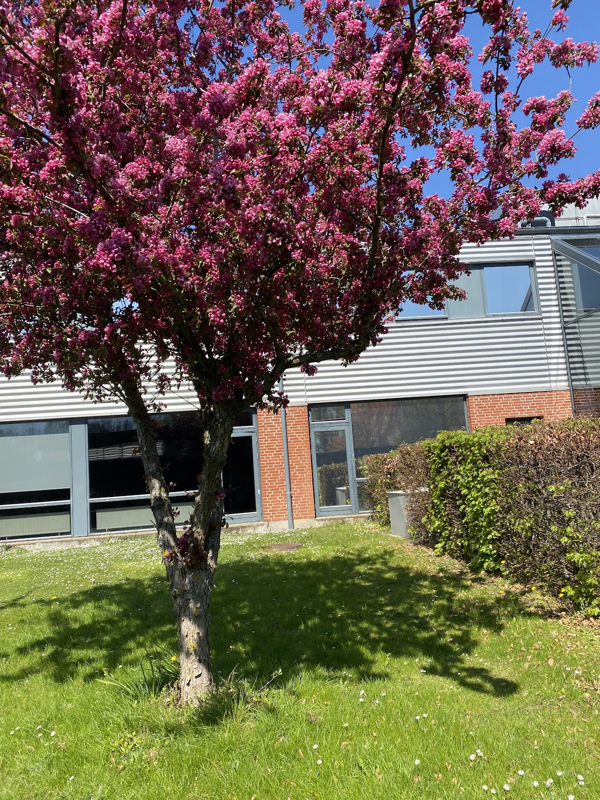 University College Absalon photo 7