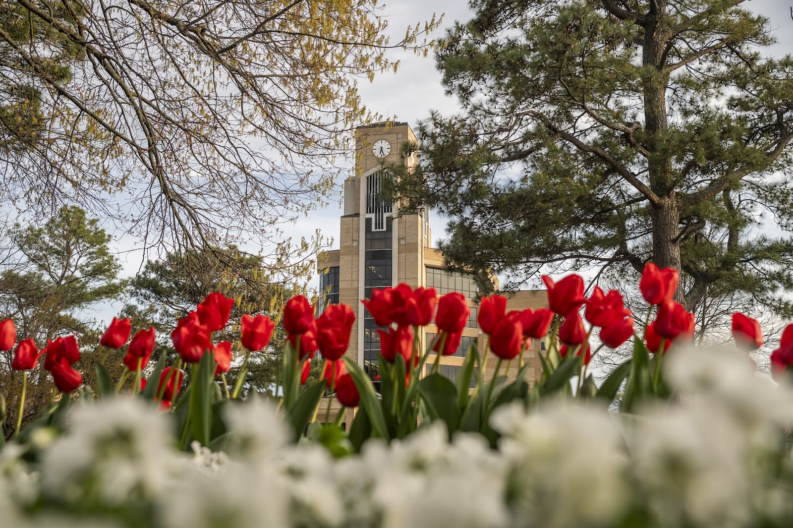 Arkansas State University
