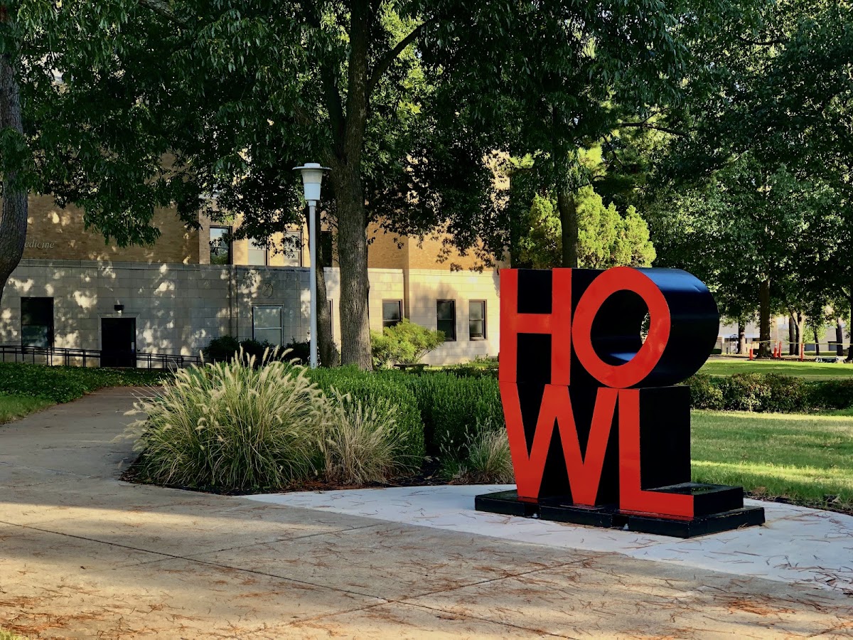 Arkansas State University photo 6