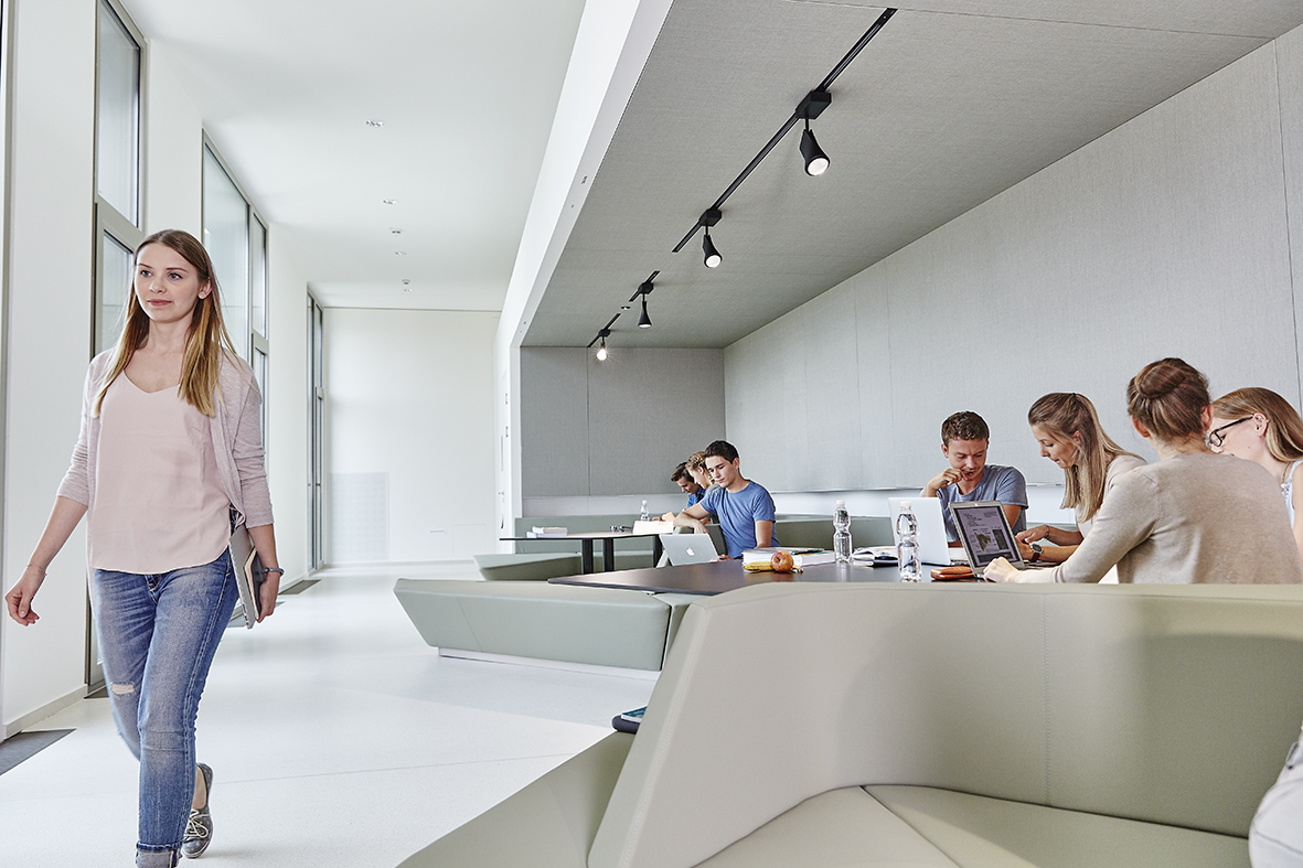 Karl Landsteiner University of Health Sciences photo 1