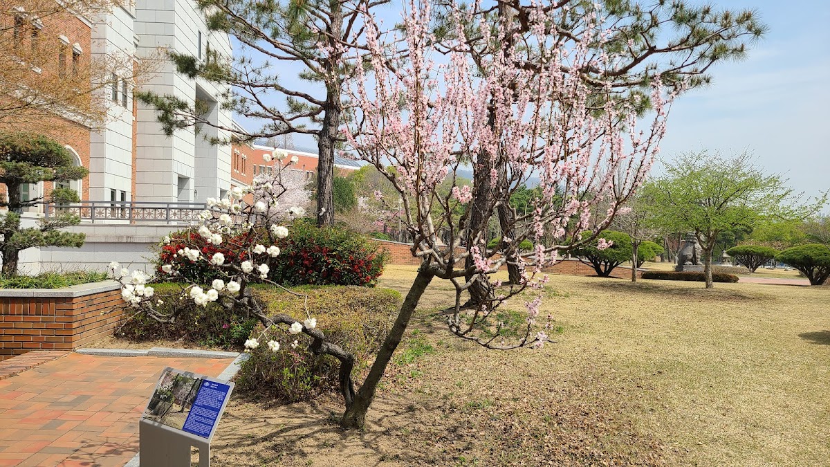 Keimyung University photo 1