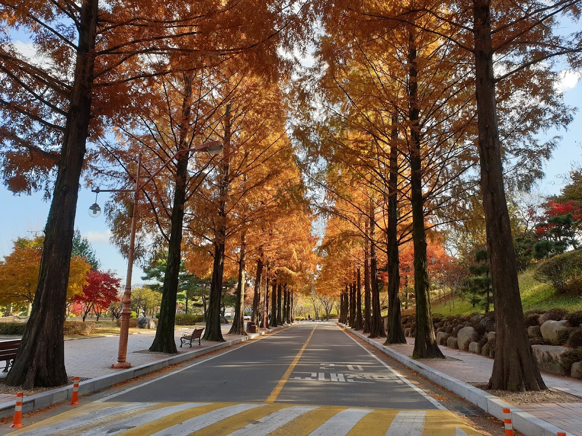 Keimyung University photo 8