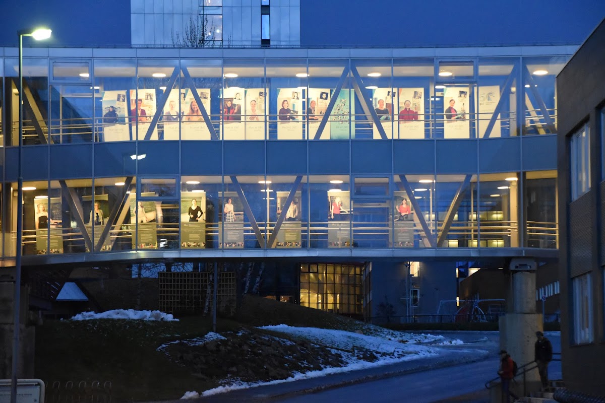 University of Tromsø – The Arctic University of Norway photo 3