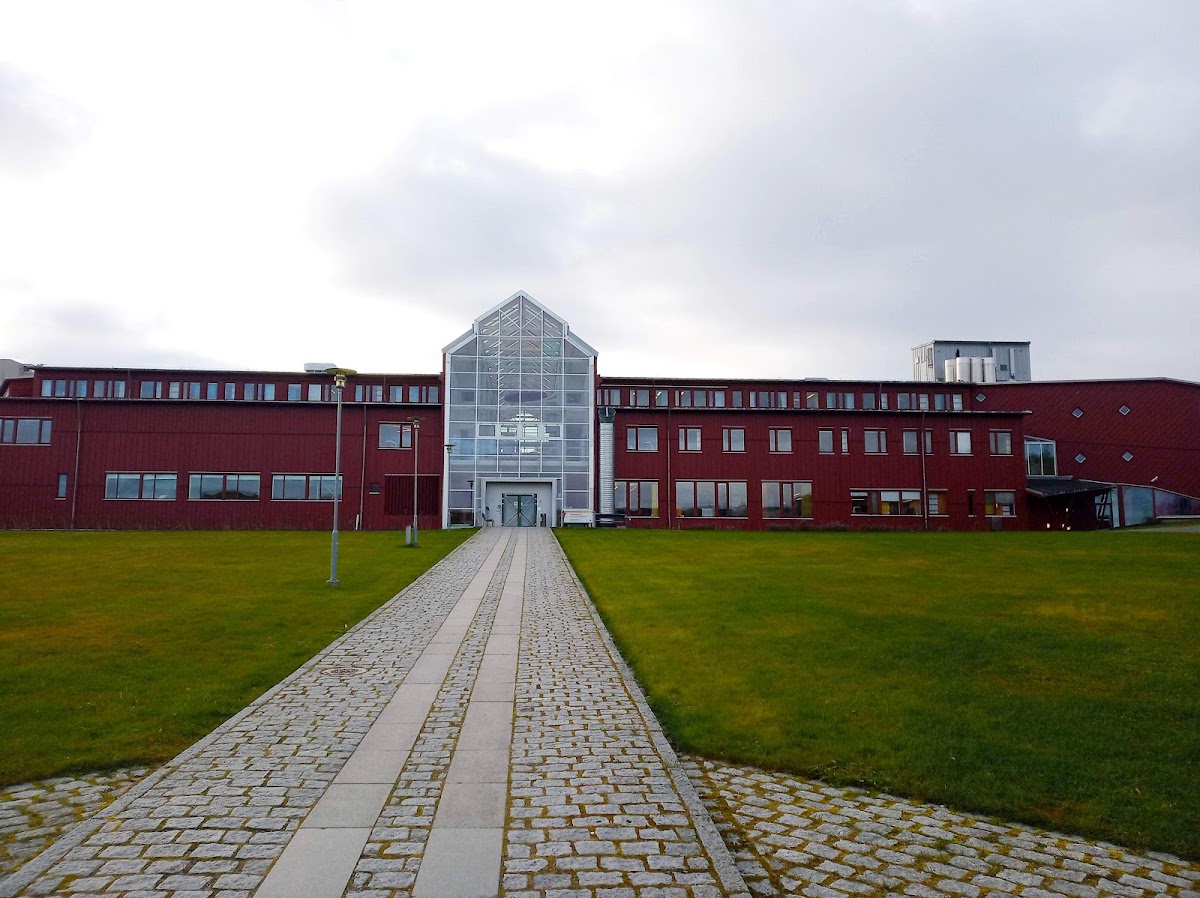 University of Tromsø – The Arctic University of Norway photo 4