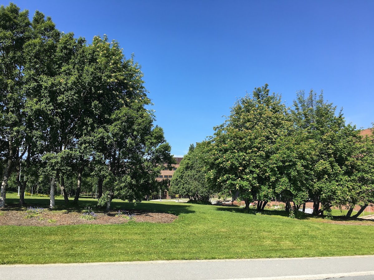 University of Tromsø – The Arctic University of Norway photo 8