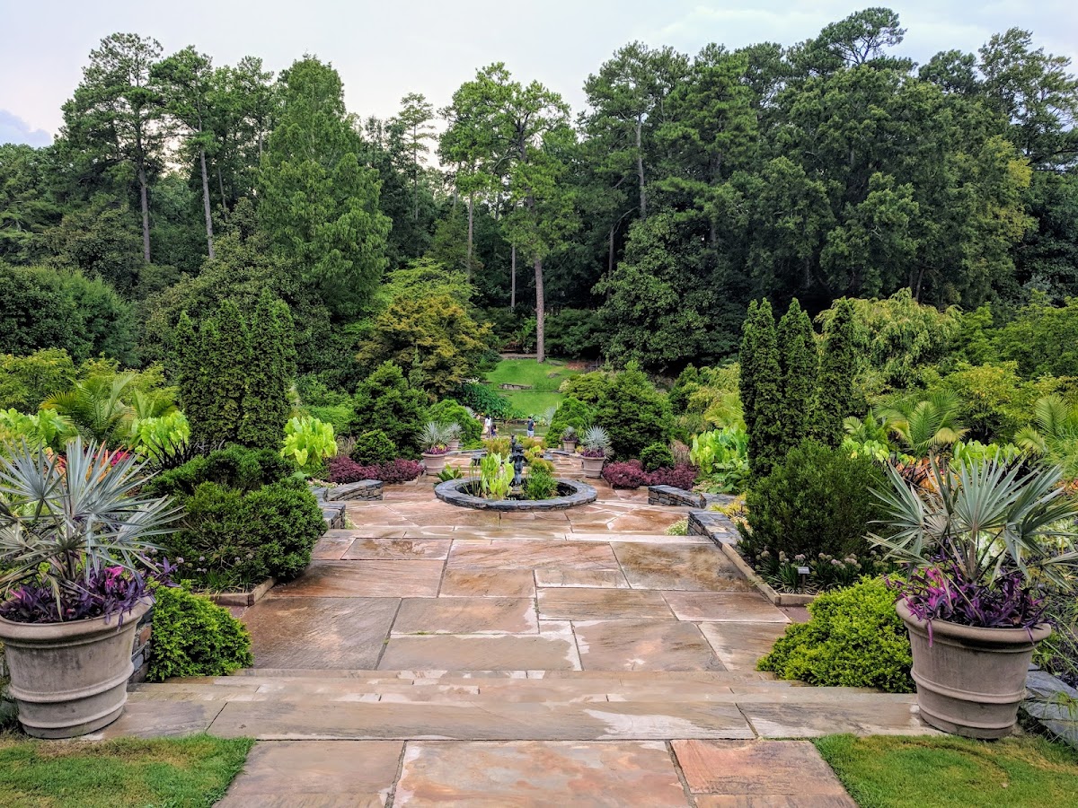 Duke University photo 1