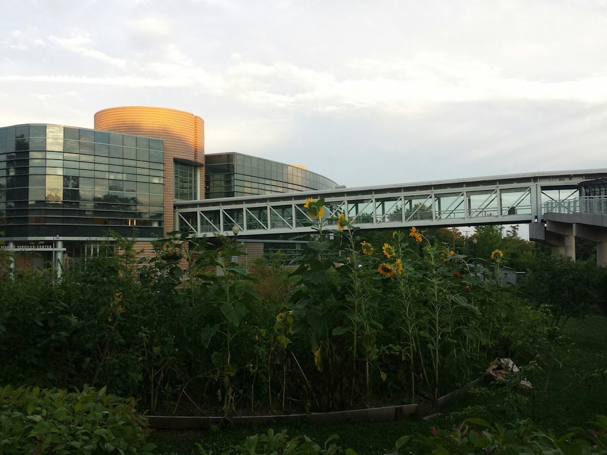 Montgomery College photo 4
