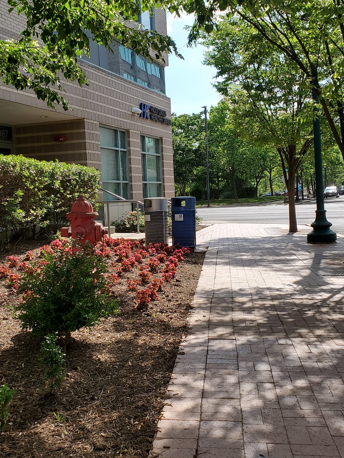 Montgomery College photo 8