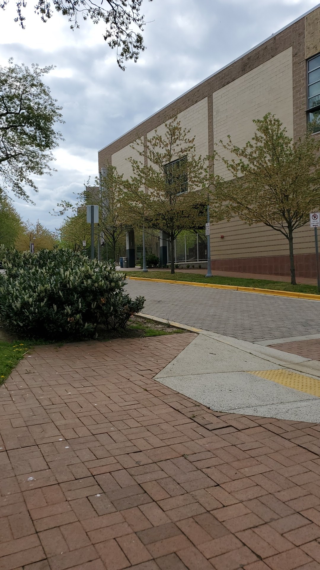Montgomery College photo 9