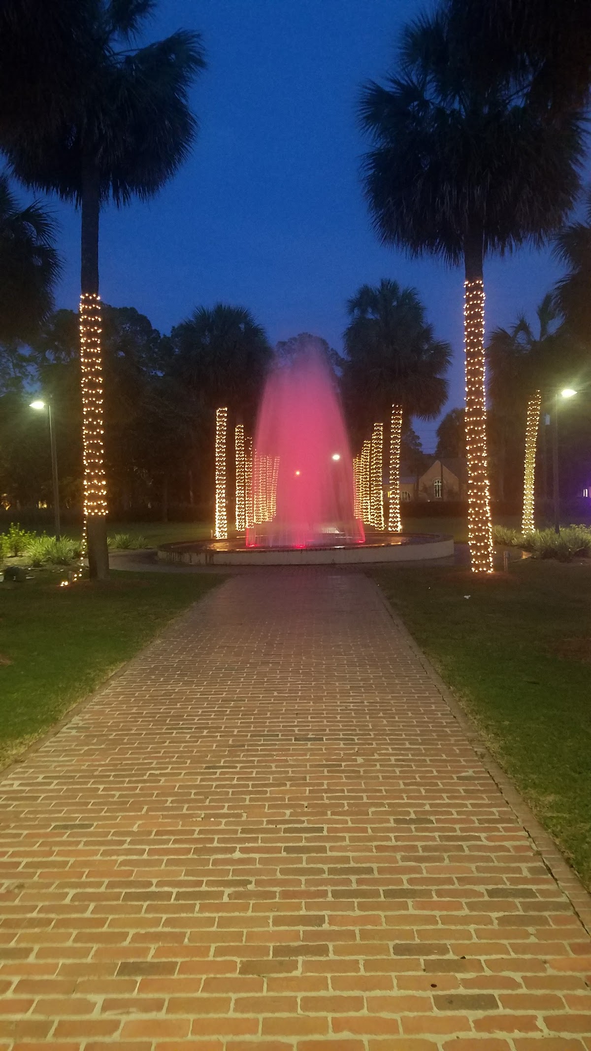 Valdosta State University photo 9