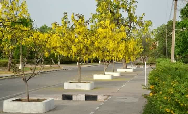 Punjabi University