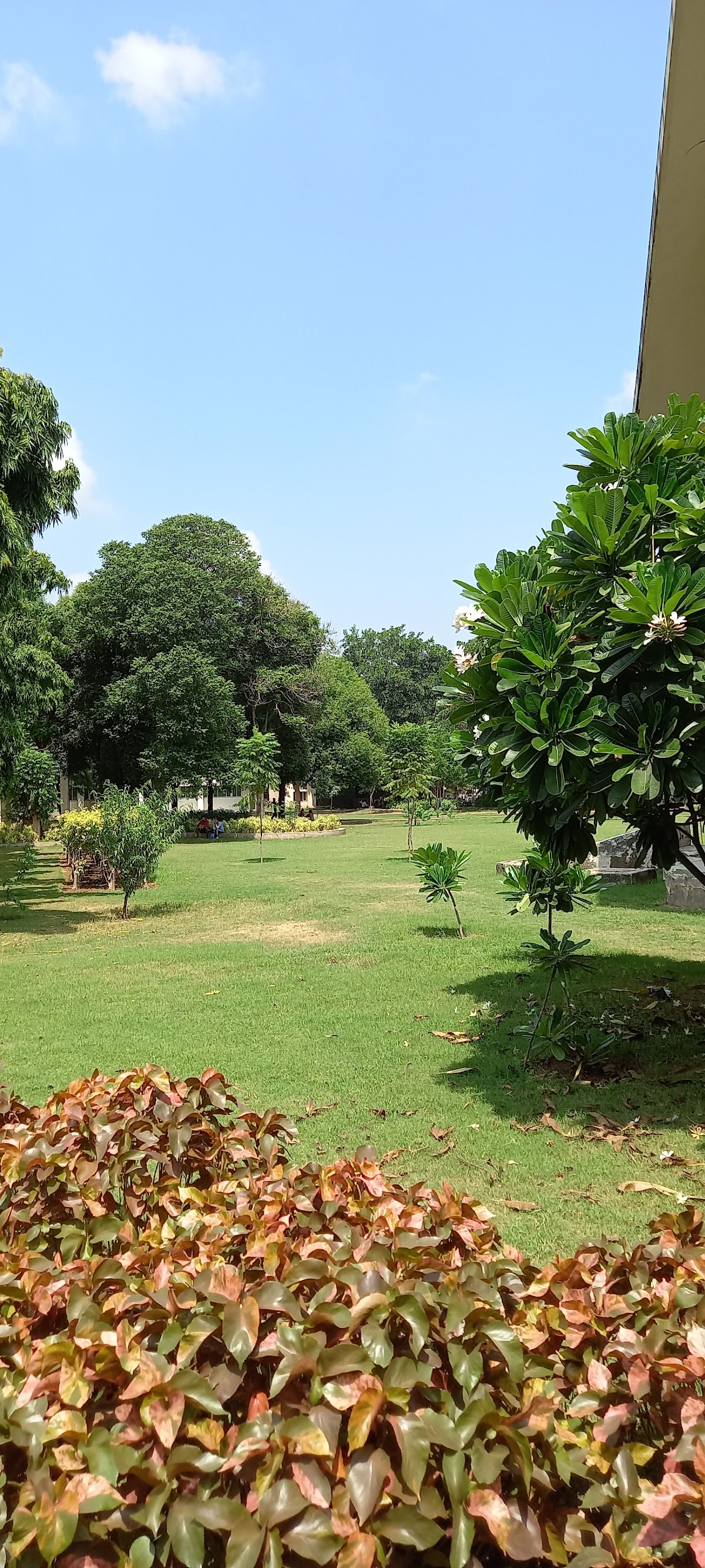 Punjabi University photo 9