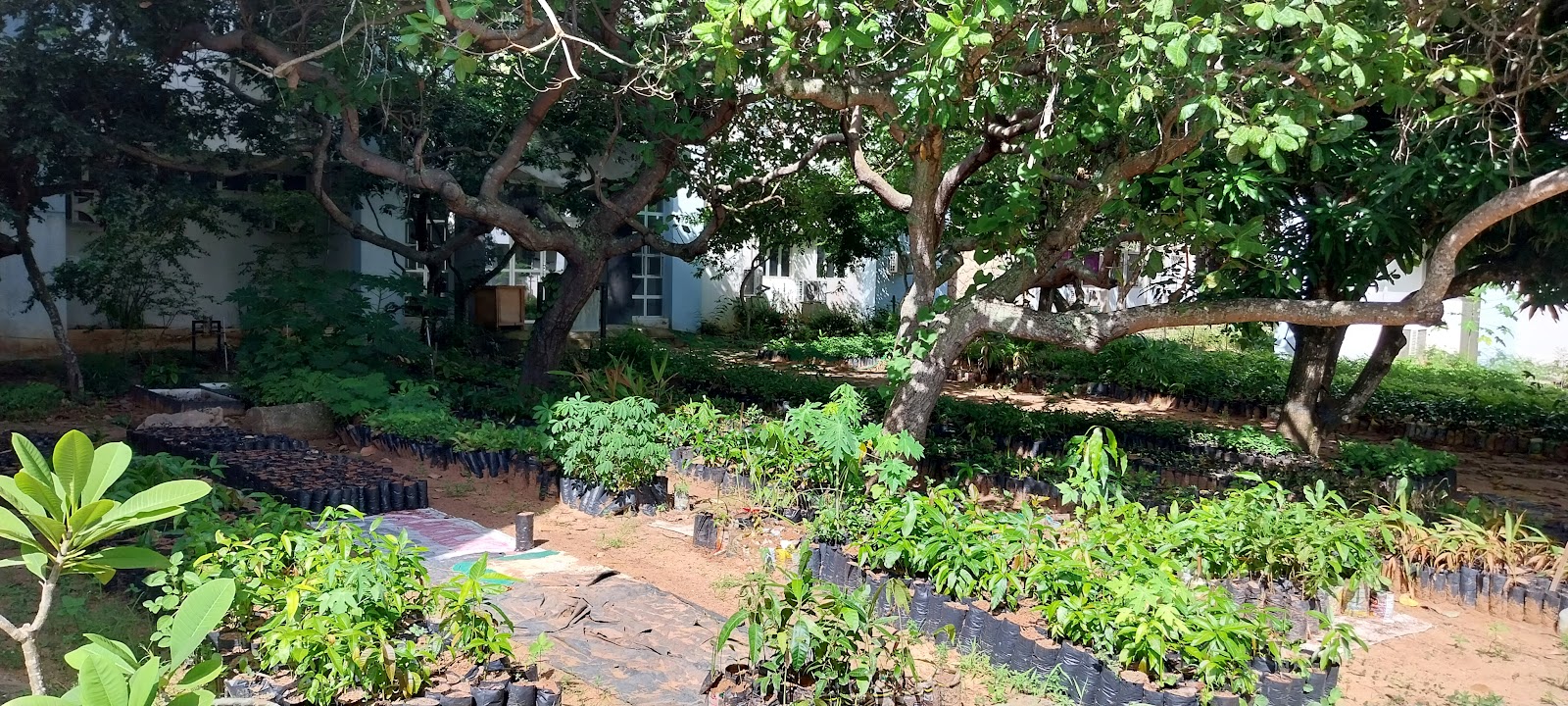 University Center of Rio Grande do Norte