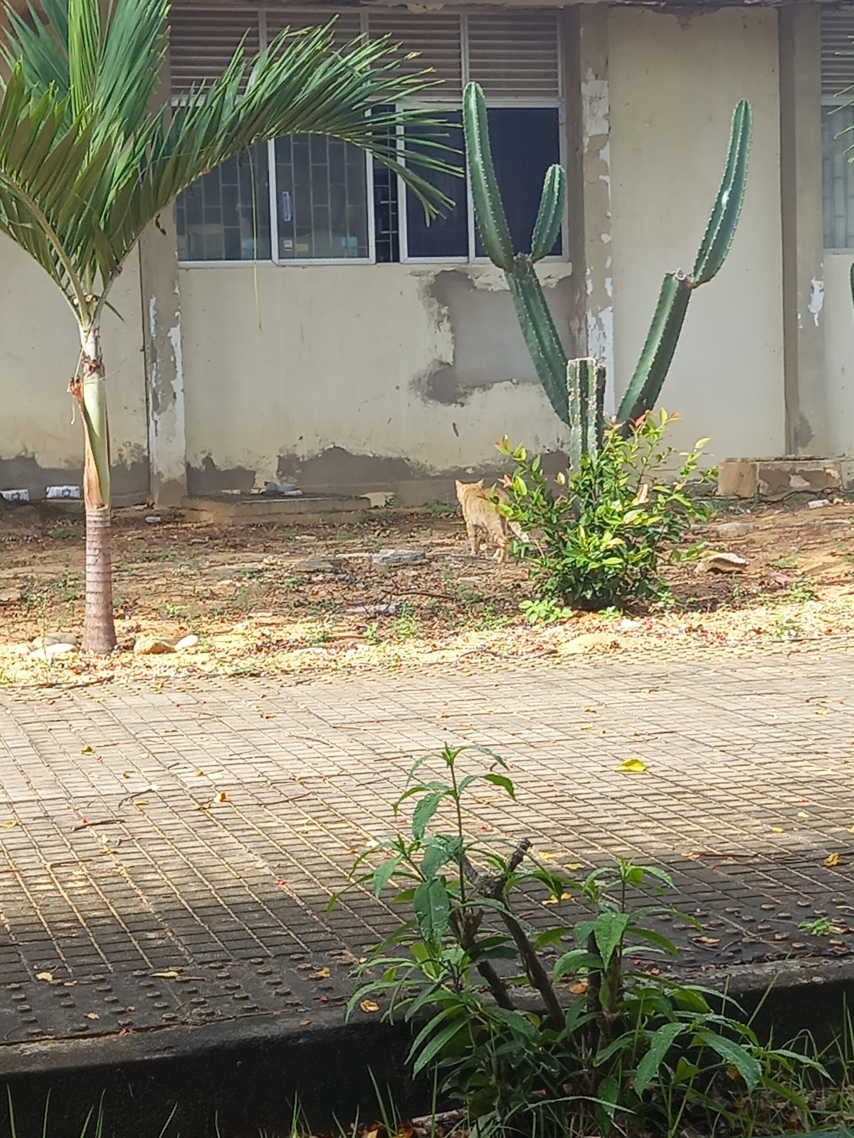 University Center of Rio Grande do Norte photo 8