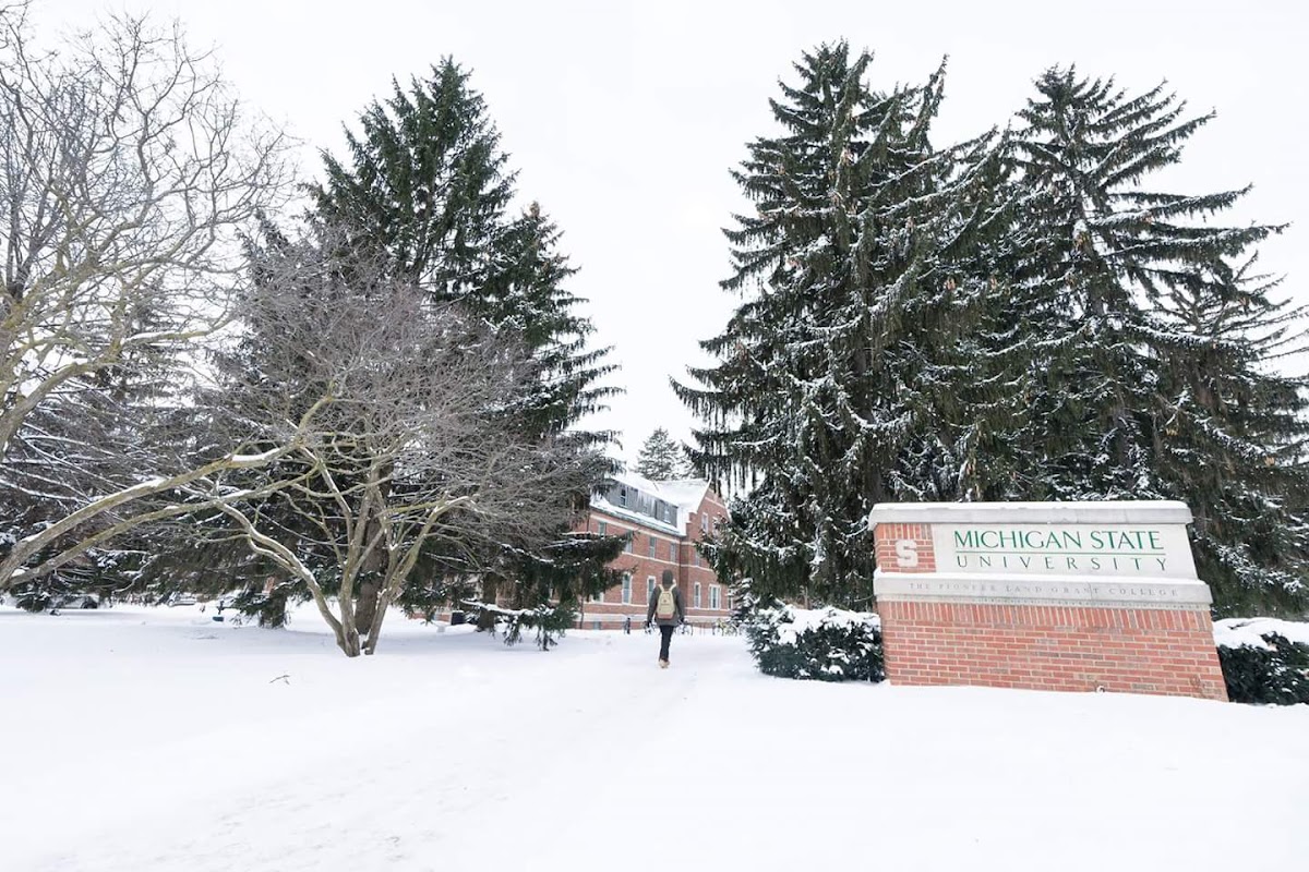 Michigan State University photo 2