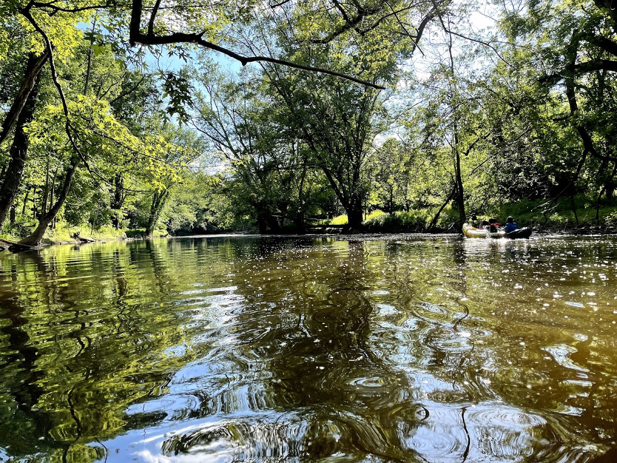 Michigan State University photo 6