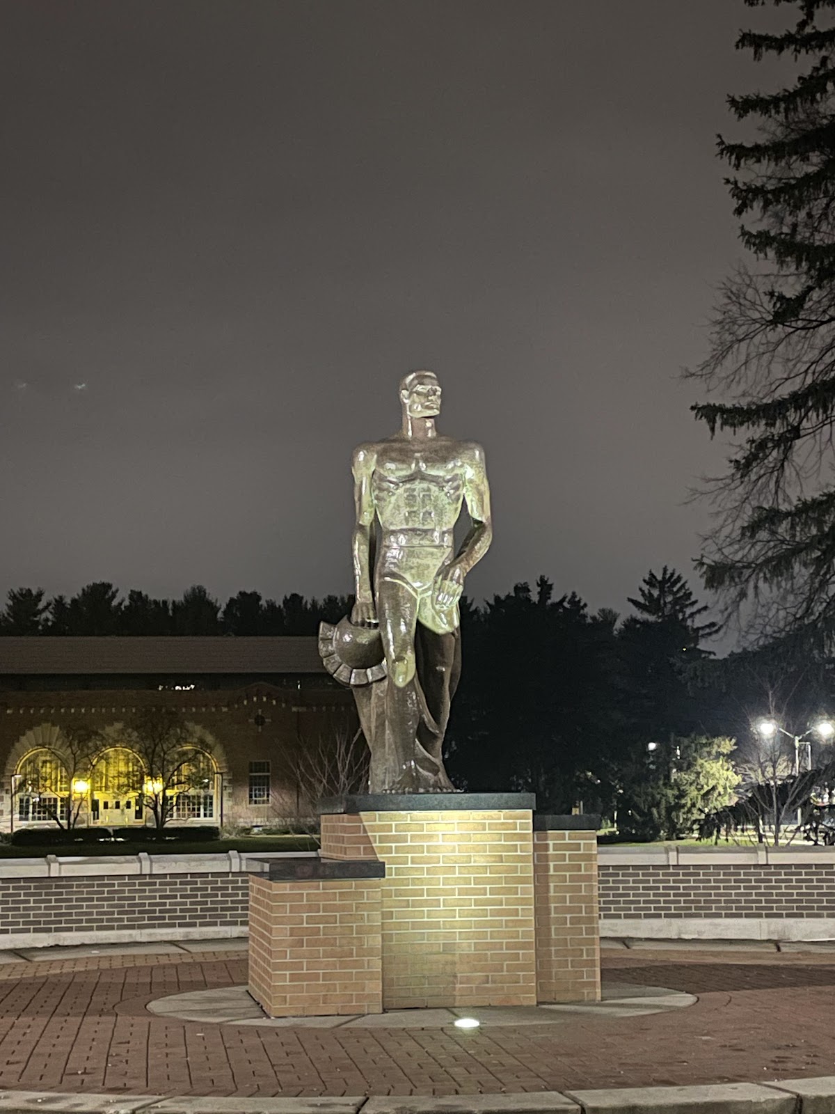 Michigan State University photo 7