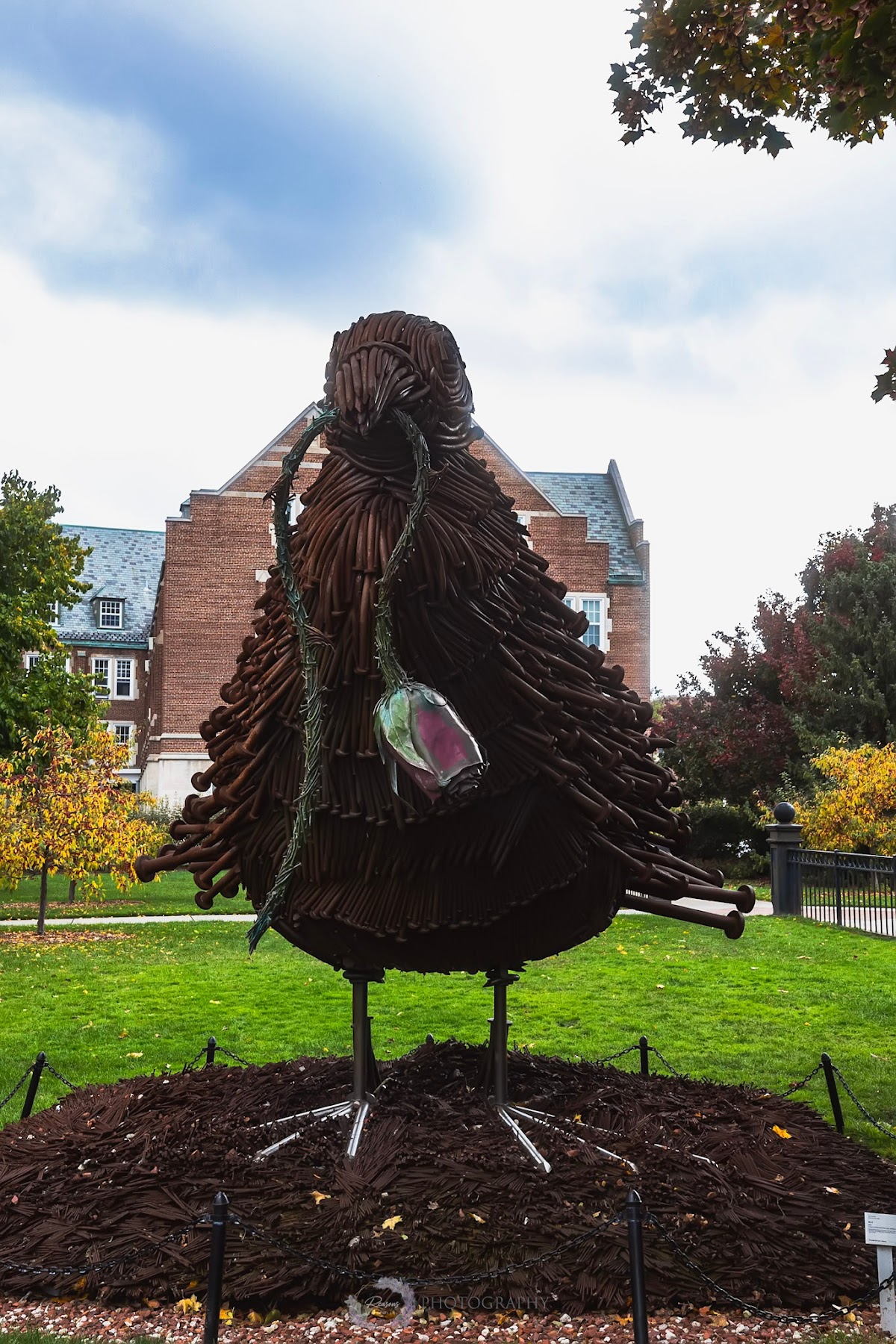 Michigan State University photo 8