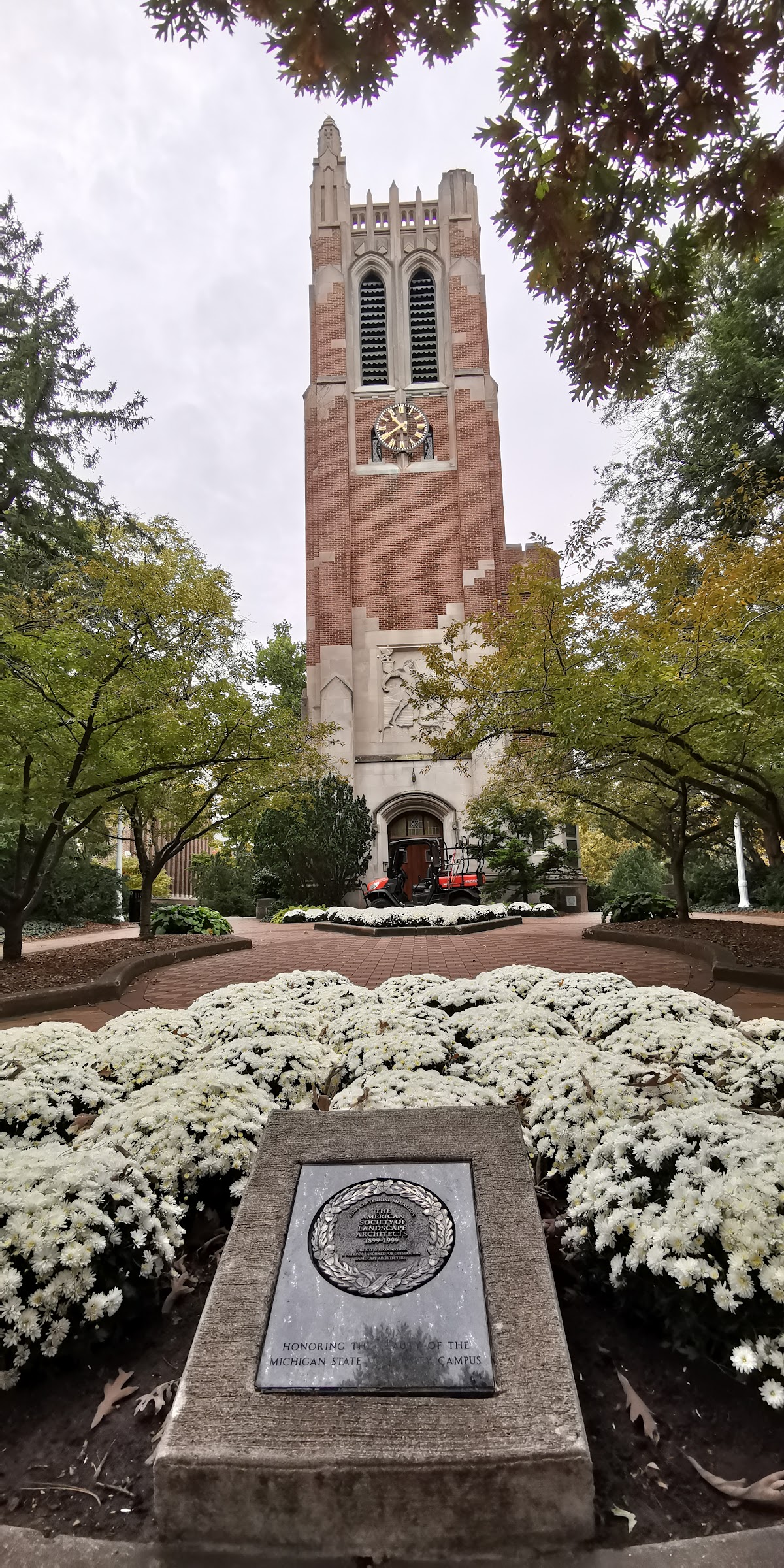 Michigan State University photo 9