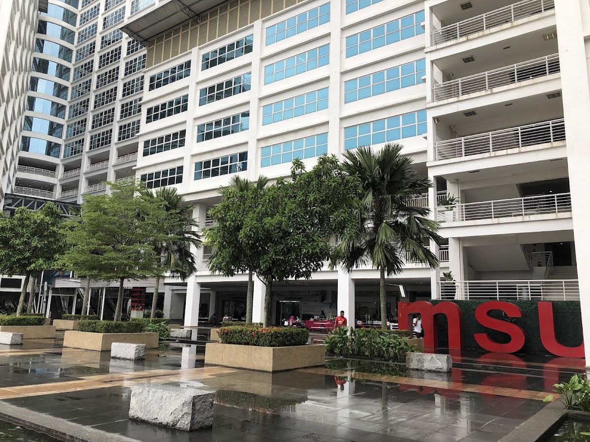 Management and Science University (MSU) photo 7