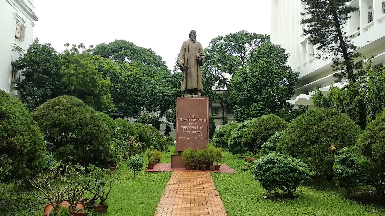 University of Calcutta