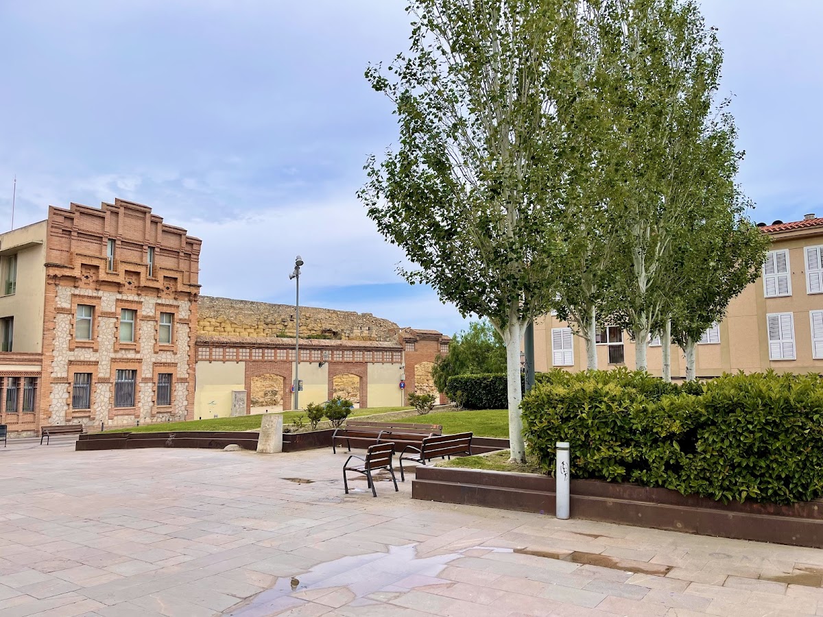 Rovira i Virgili University photo 6