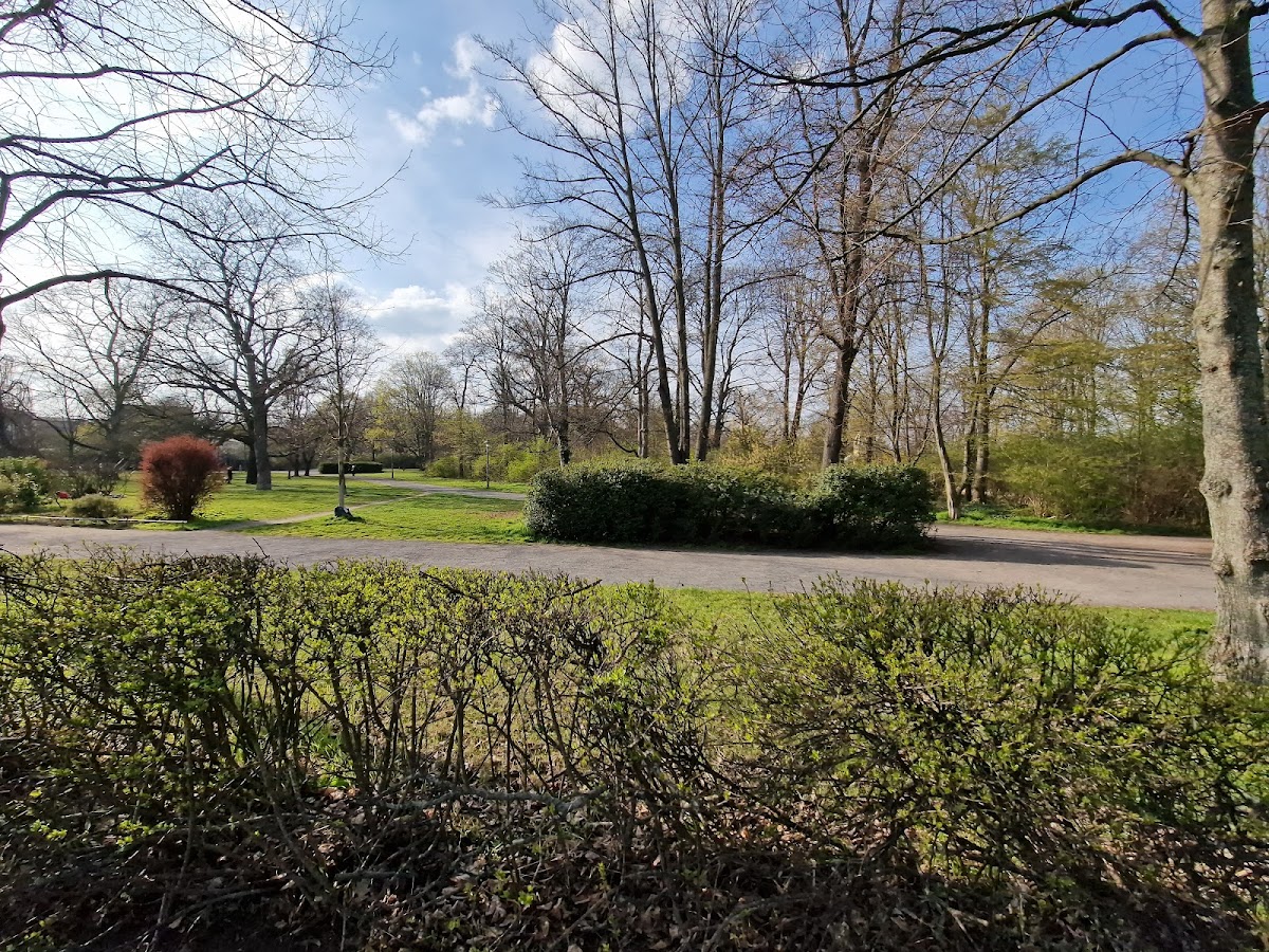 Kunsthochschule Berlin-Weißensee photo 4