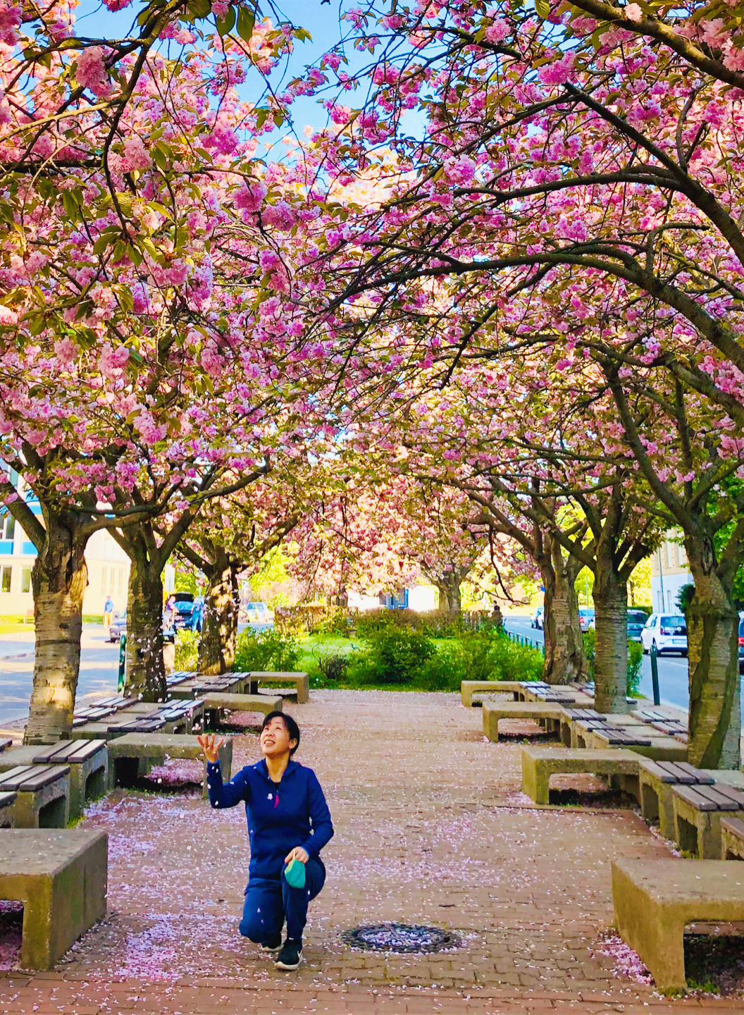 Czech Technical University in Prague photo 9